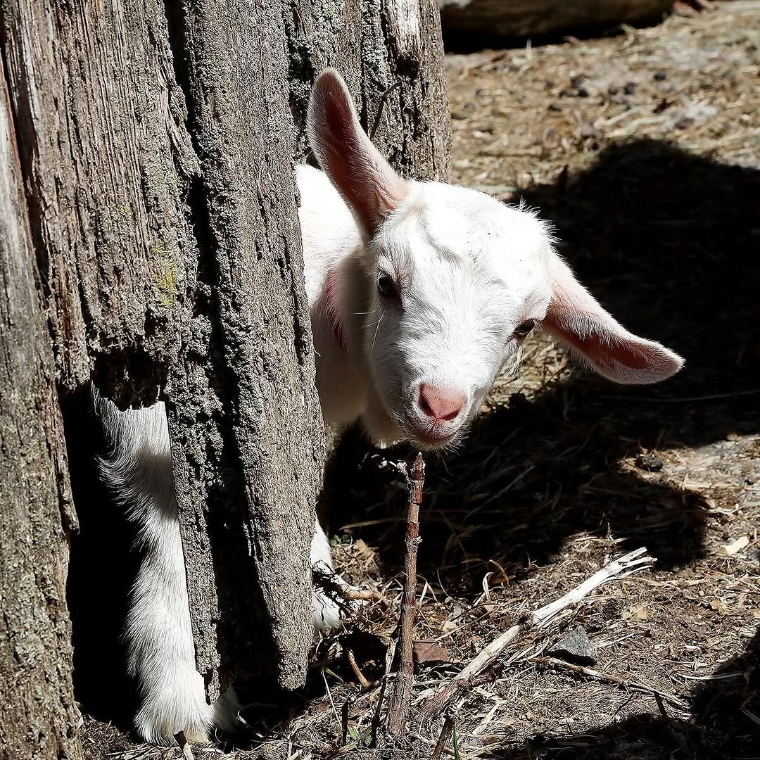 Photo by Louisa, She/her on March 27, 2025.