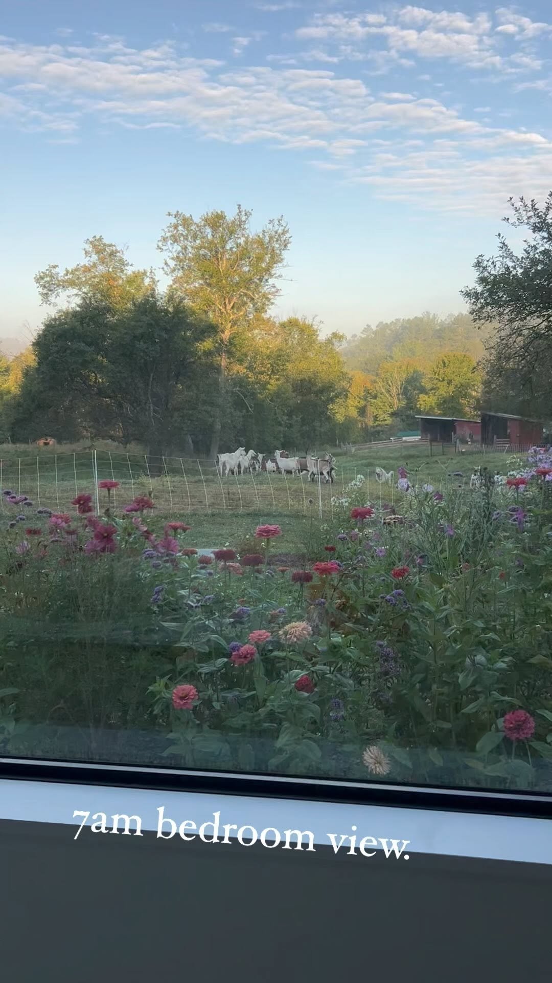 bigpicturefarm 게시물 이미지: 