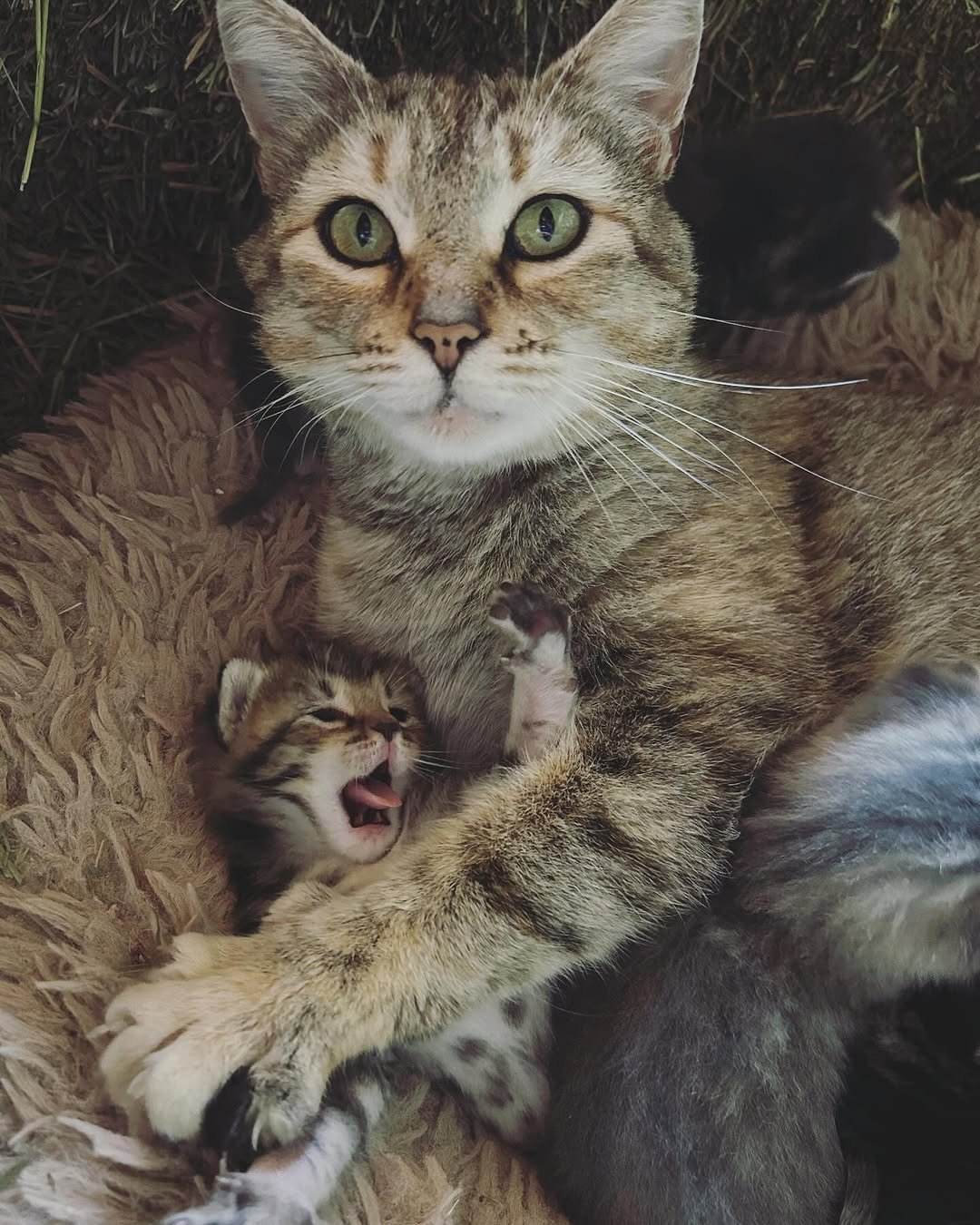 Photo by Louisa, She/her on May 11, 2025.