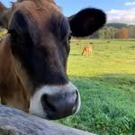 billingsfarm 프로필 사진