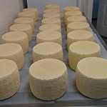 winterhillfarmer 프로필 사진