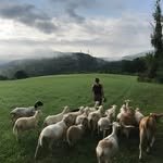 rebopfarmvt 프로필 사진