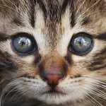 binkond 인스타그램 프로필 사진