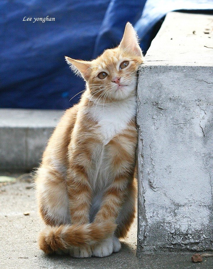 Photo by 이용한 on November 04, 2023.