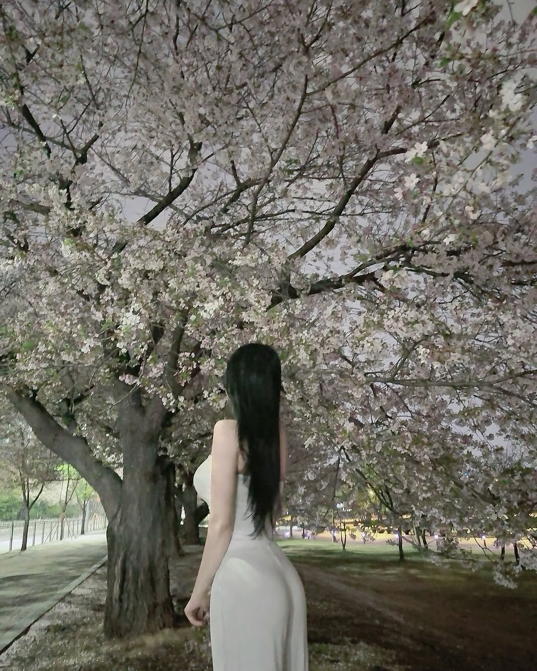binxnnn 게시물 이미지: 오랜만이예요 열어분 ••
주절 써보려고하는데
좀 쉬다온다는게 벌써 3개월이...