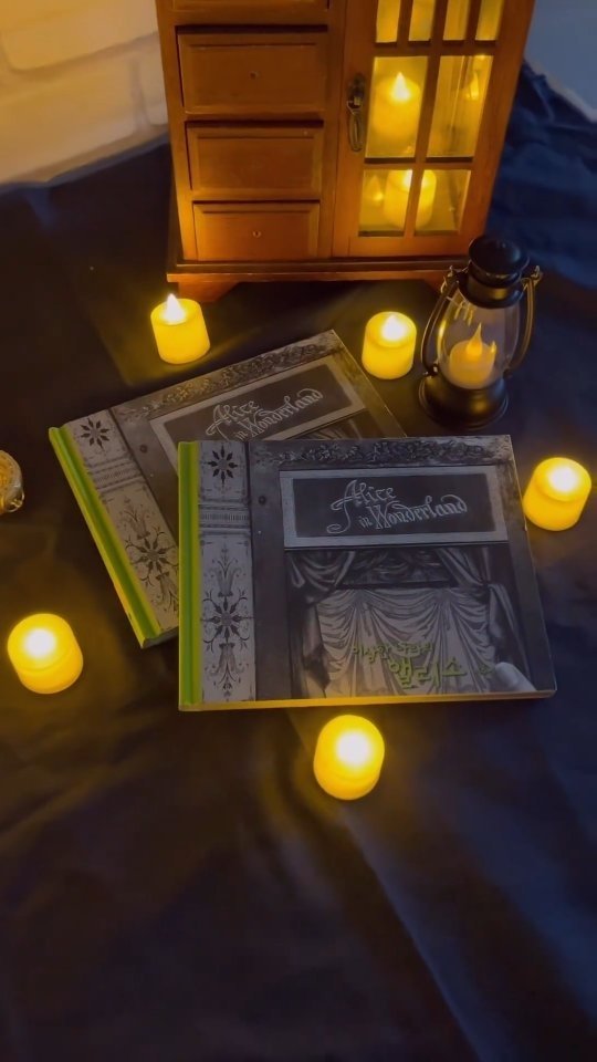 bir_picturebook 게시물 이미지: [이벤트] 이수지 그림책 세계로의 여행💭
🕯️Chapter 2 | 『이상한 나라의...