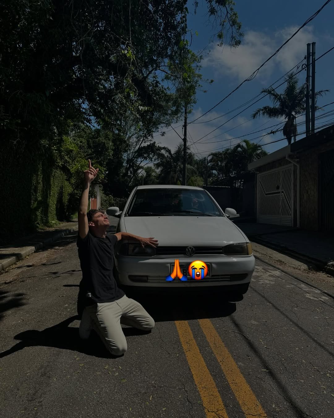 Photo by David Rodrigues on November 19, 2024.