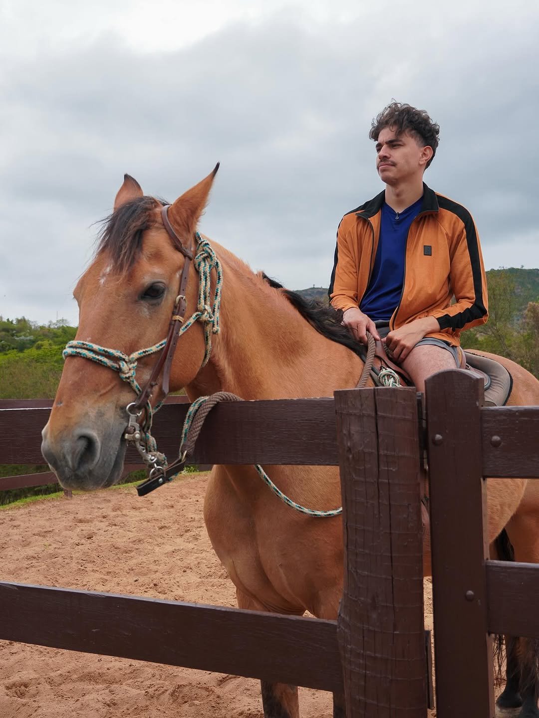 Photo by David Rodrigues on October 10, 2025. May be an image of riding on a horse, horse, pants and text.