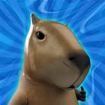 pianistadoroblox 프로필 사진