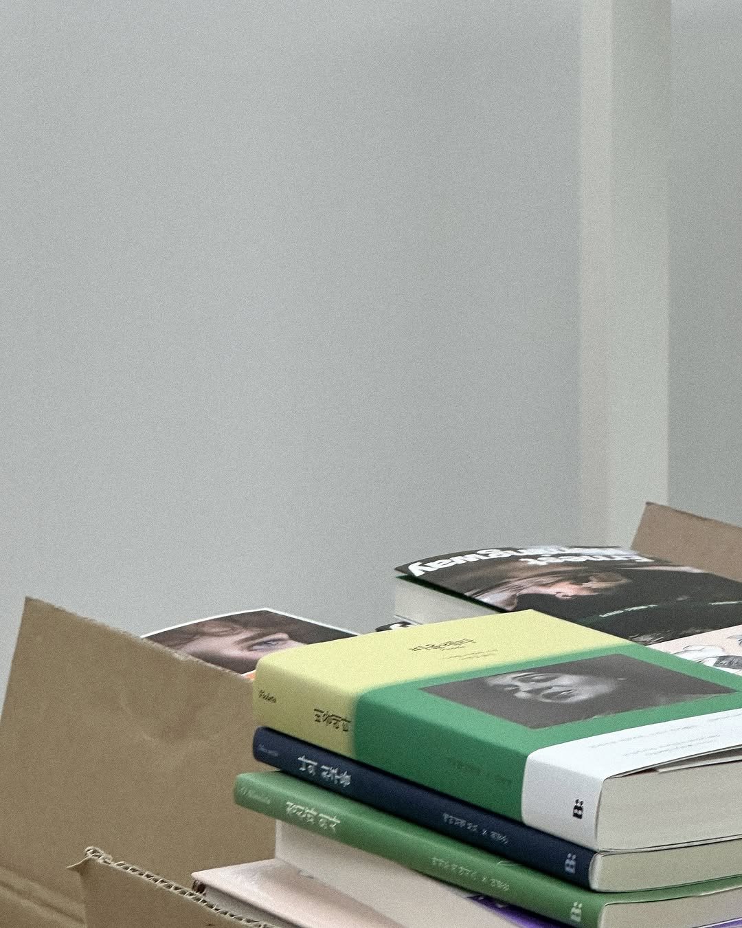 Photo by 빛소굴 (문학 출판사) on June 26, 2025. May be an image of book, carton and text.