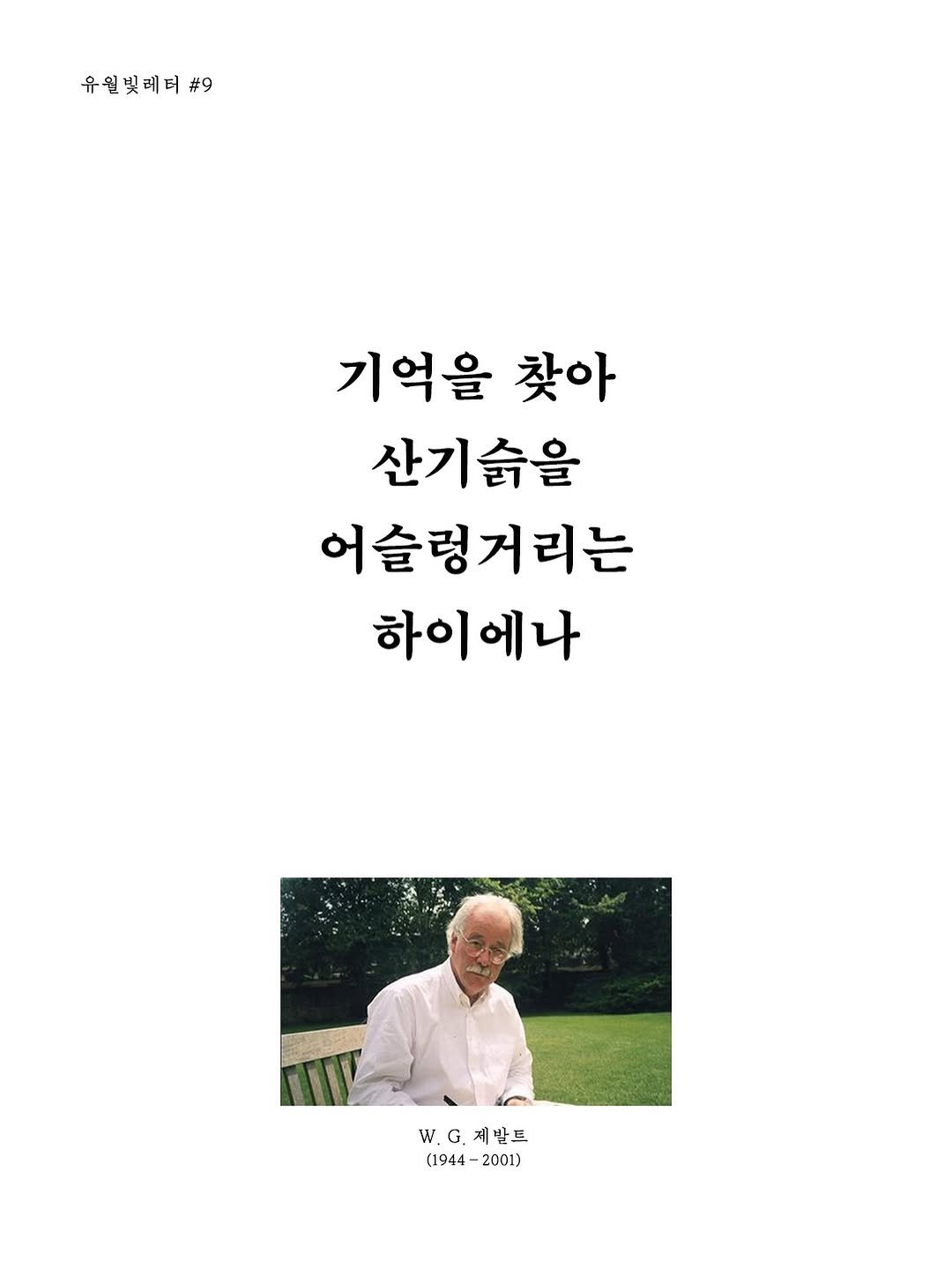 Photo by 빛소굴 (문학 출판사) on October 16, 2025. May be an illustration of magazine, poster, top and text that says '유원빛레티# #9 기억을찾아 기억을 찾아 산기술을 어슬렁거리는 하이에나 W.G.제발드 G 제발트 W. (1944- (1944-2001) 2001)'.