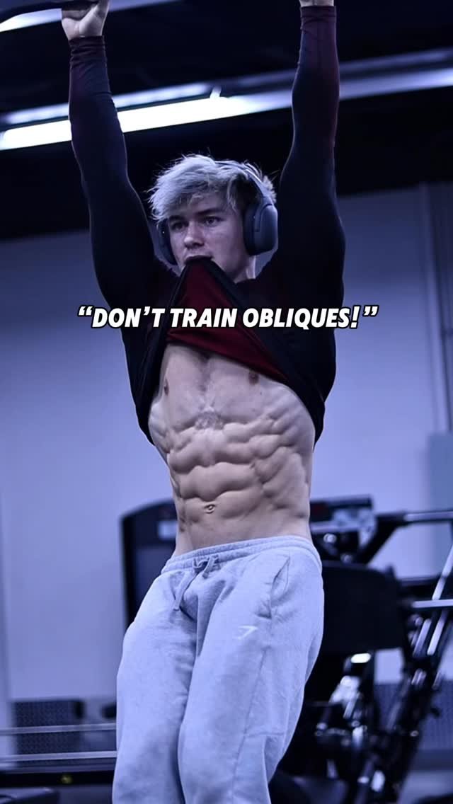 bjarnson_fitness 게시물 이미지: Have you ever seen someone train obliques and...
