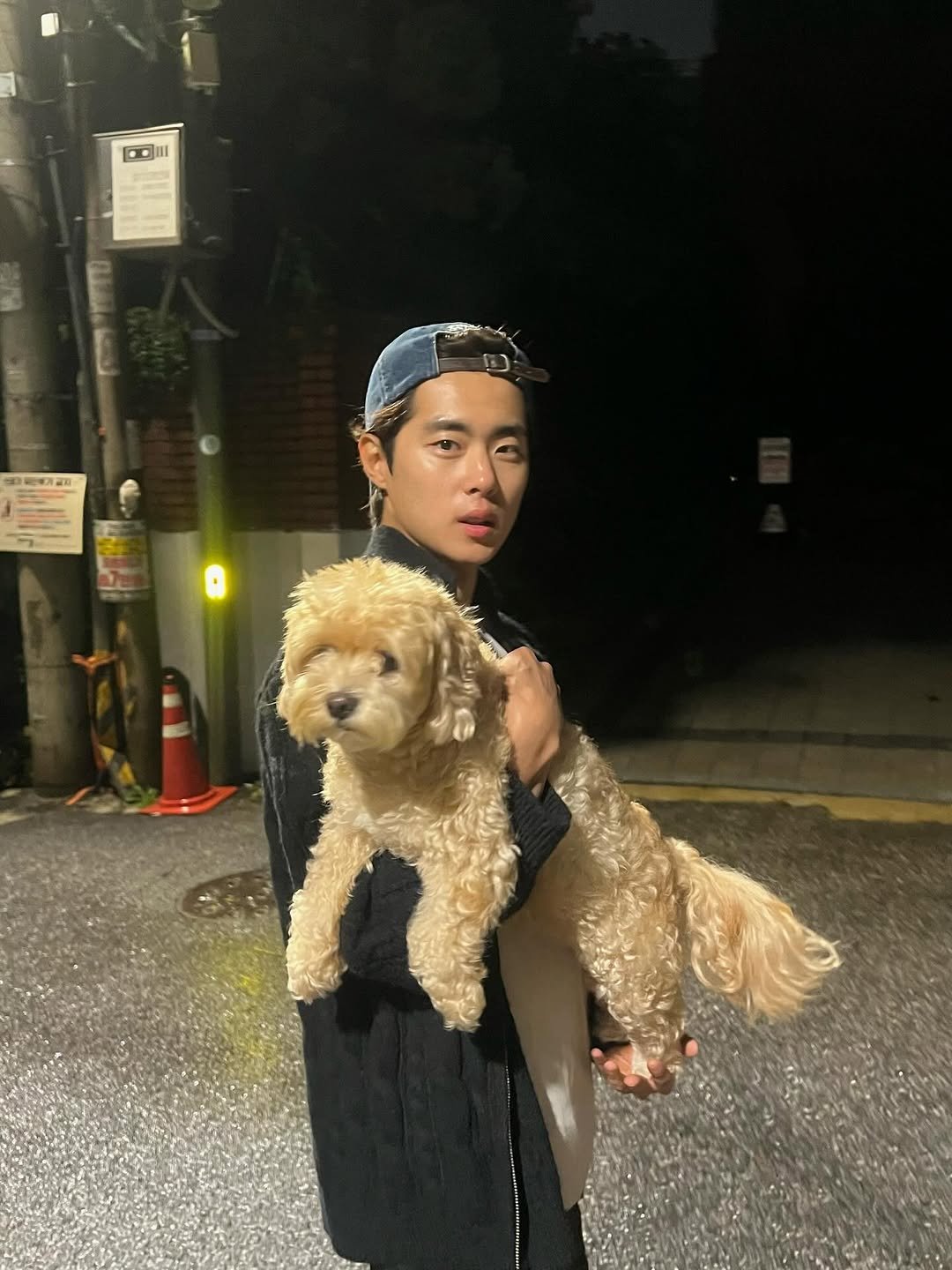 Photo shared by 조병규 on October 13, 2025 tagging @bk__chol. May be an image of Bedlington terrier and text.