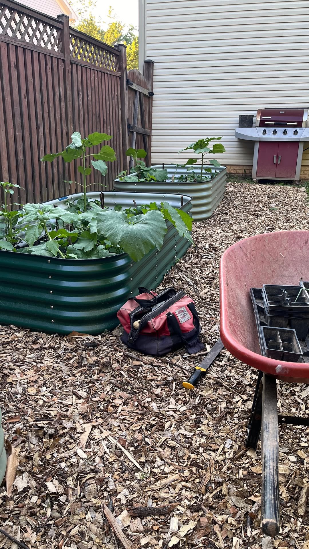 black_suburban_homestead 게시물 이미지: So we updated our garden space at our...