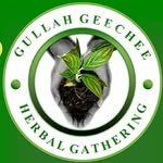 gullahgeecheeherbs 프로필 사진