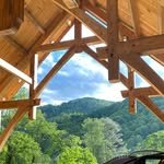 wildabundance 프로필 사진