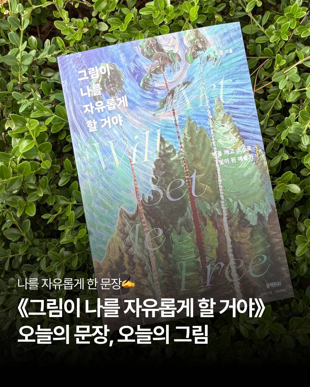 blackfish_book 게시물 이미지: 어떤 문장은 위로가 되고,
어떤 문장은 용기가 됩니다.
《그림이 나를 자유롭게 할...