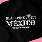 blackpinkmx1 프로필 사진