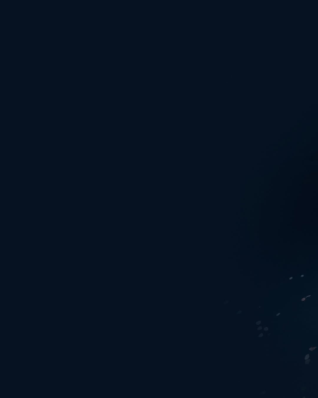 Photo by BLΛƆKPIИK on February 10, 2026. May be an image of lighting, night and text.