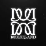 momoland_official 프로필 사진
