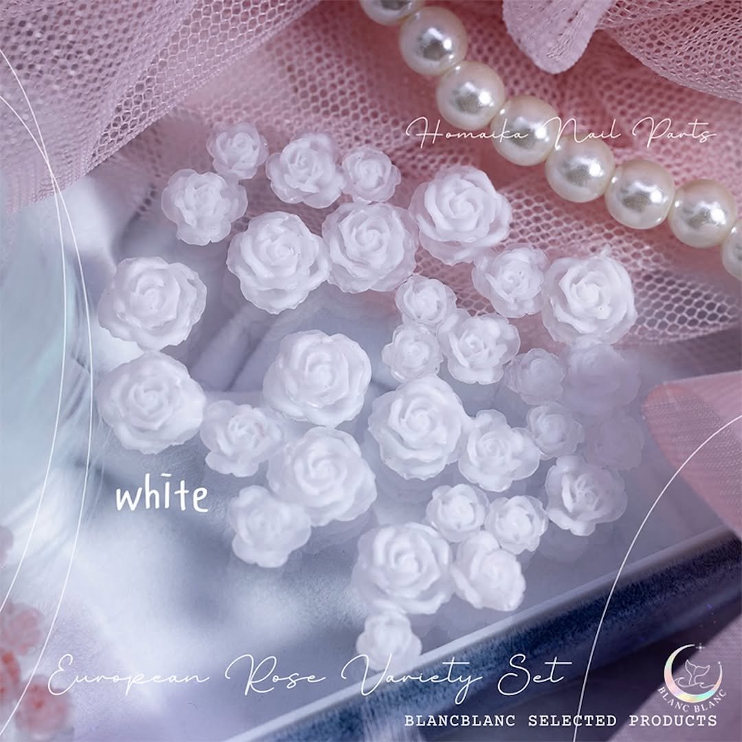 Photo by 블랑블랑 | 자체제작 고퀼리티 네일재료 | on February 20, 2026. May be an image of lace, hairpin, baby's-breath, rose and text.