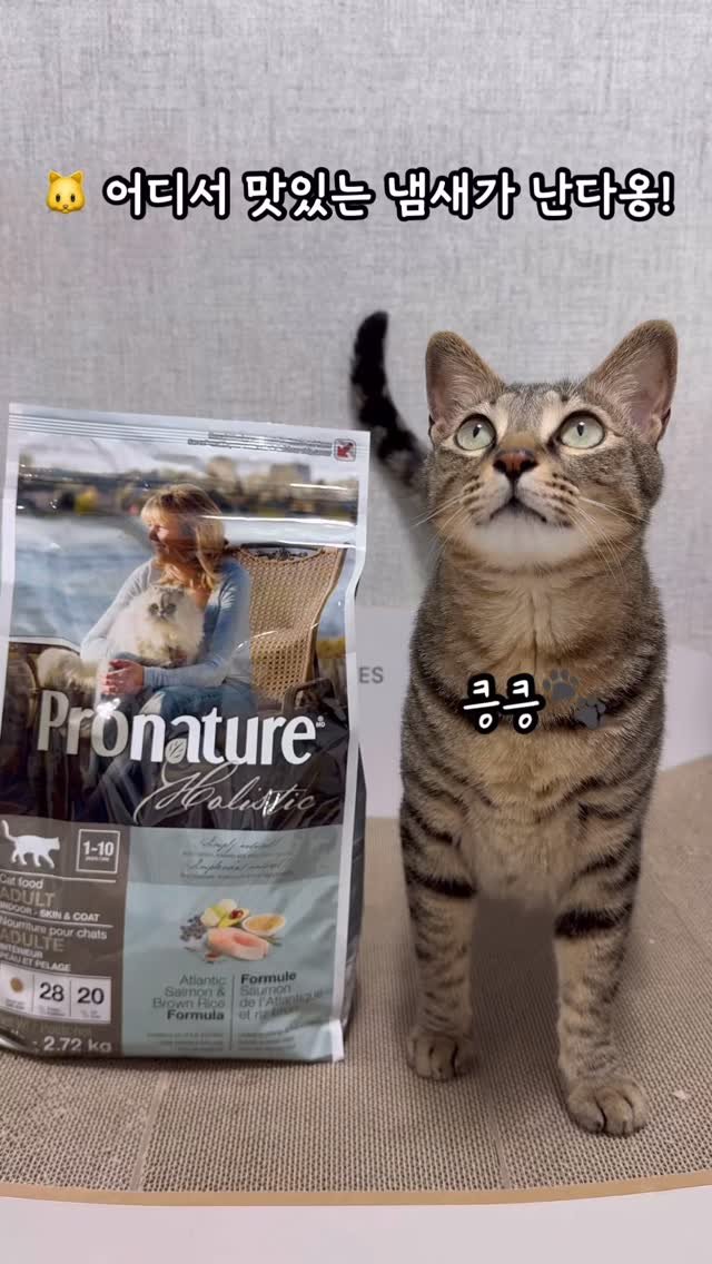 bless_mycat 게시물 이미지: #협찬 #제품제공
🏷️ 프로네이처 @pronaturekorea 
🏷 프로네이처 캣...