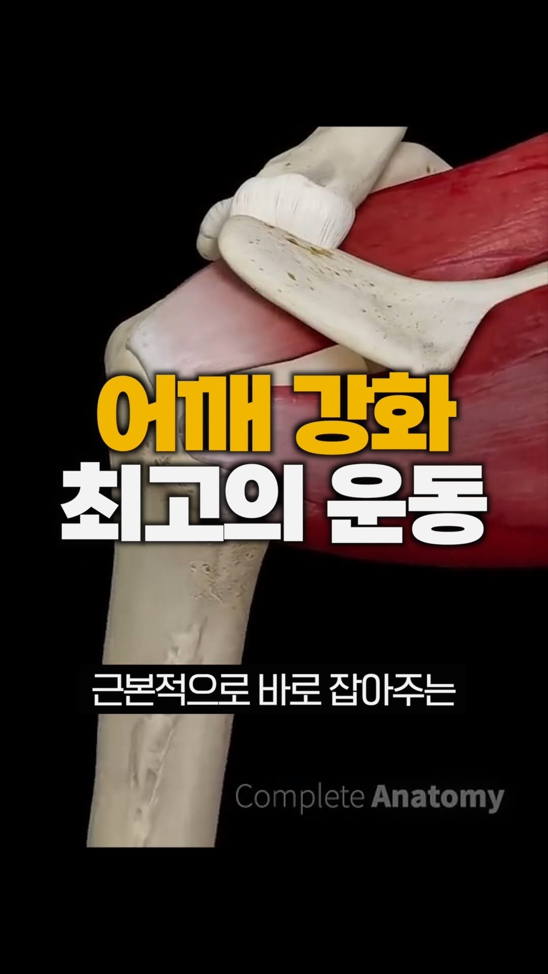 bliss_note 게시물 이미지: 툭 튀어나온 어깨, 사실 가슴이 문제일 수도 있습니다

가슴 운동, 등 운동 열심히...