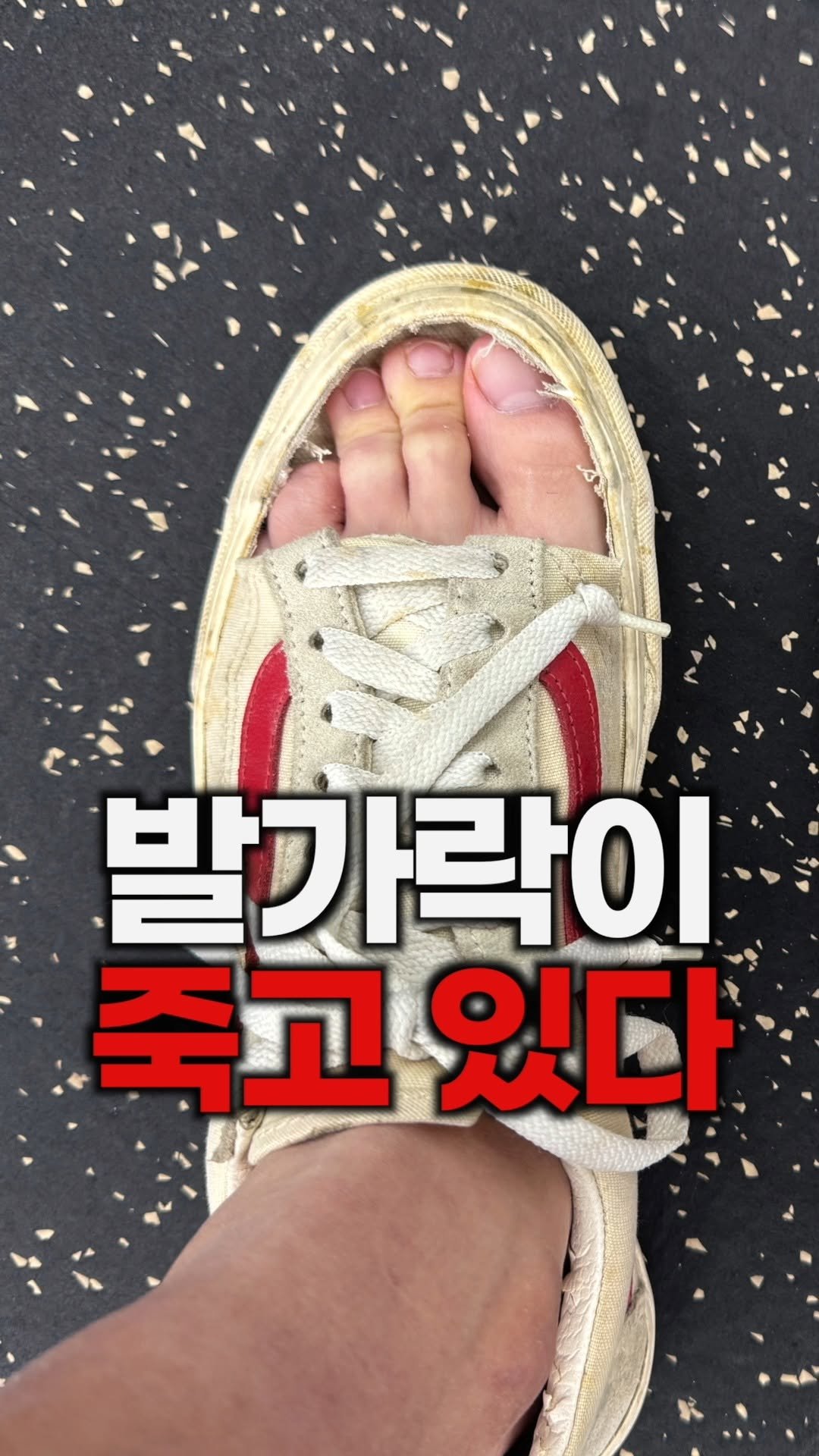 bliss_note 게시물 이미지: 시즈탱크, 6월 19일부터 가격 오릅니다.

지금 가격을 계속 유지하고...