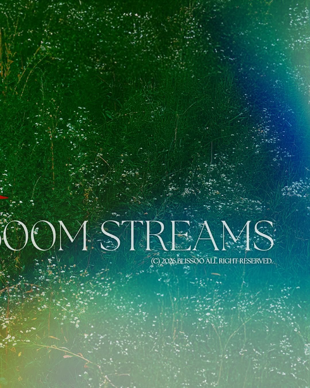 Photo shared by BLISSOO on January 13, 2026 tagging @sooyaaa__. May be a graphic of poster and text.