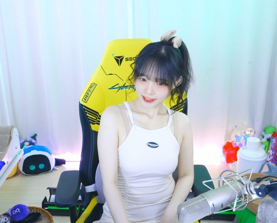 Photo by 서새봄 on September 19, 2025. May be a video game screenshot of 1 person, hair, top, bra and text.