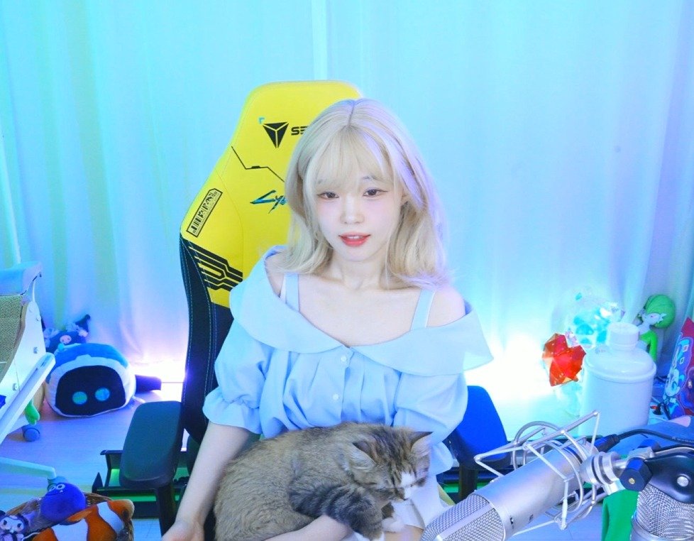 Photo by 서새봄 on September 26, 2025. May be a video game screenshot of 1 person, top and text.