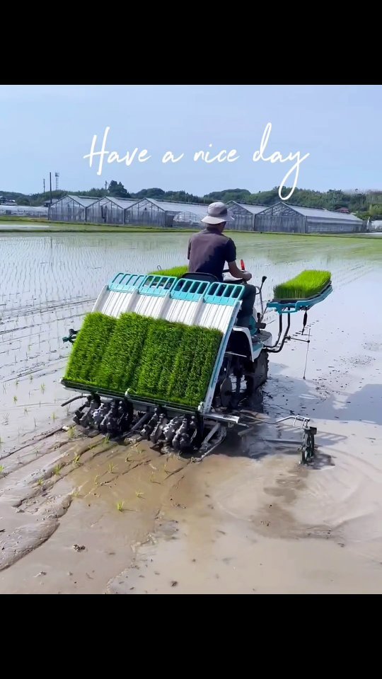 blue.chemp 게시물 이미지: kubota four row paddy transplanter machine 🔥
....