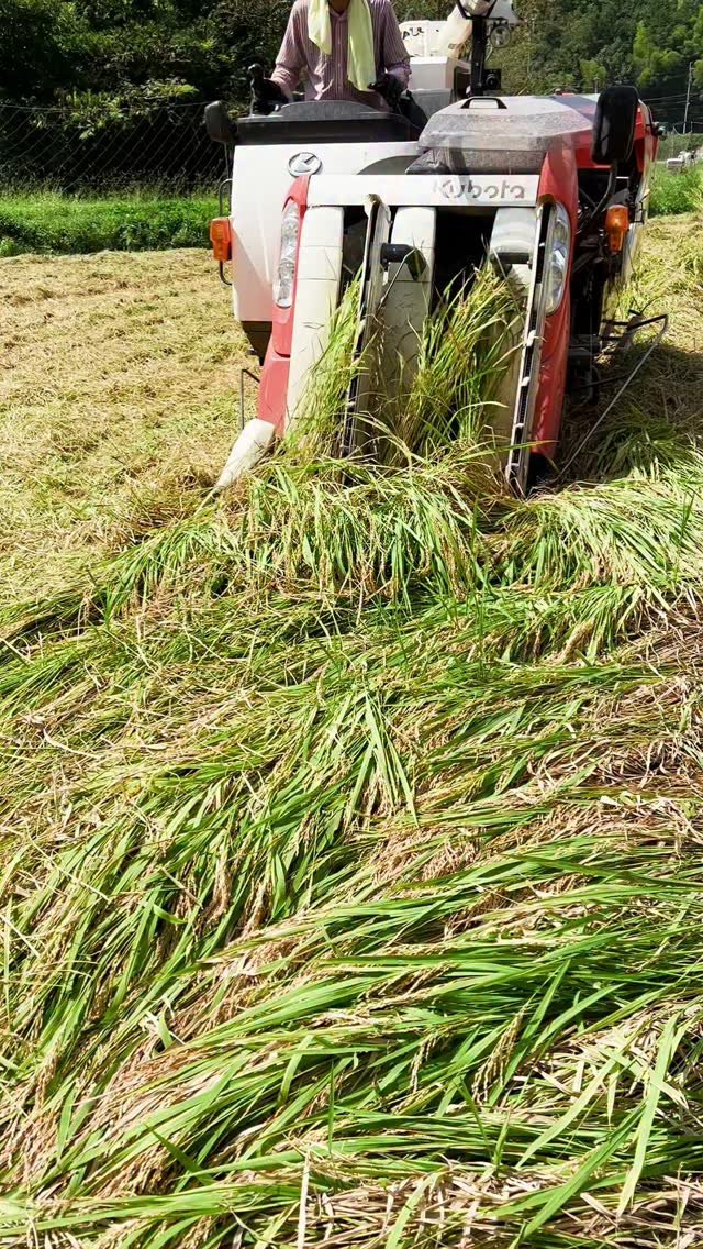 blue.chemp 게시물 이미지: kubota rice harvester machine japan 🔥
....