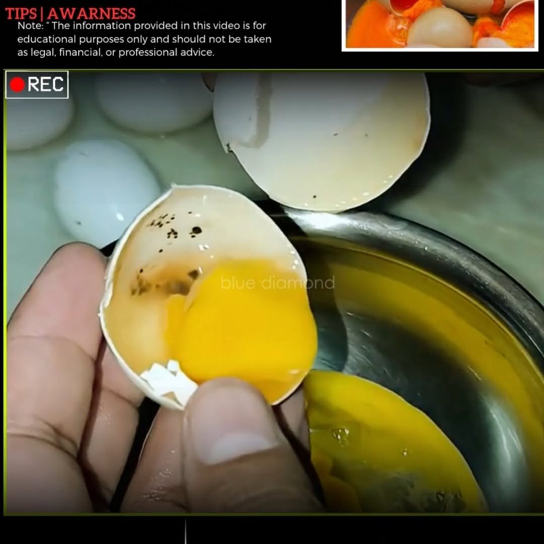 bluediamond7866 게시물 이미지: अंडा खाने से पहले ज़रा संभल जाइए!
Disclaimer...