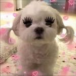 bonny_studio_ 프로필 사진