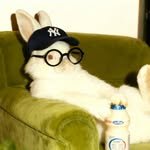 mj1ant 프로필 사진