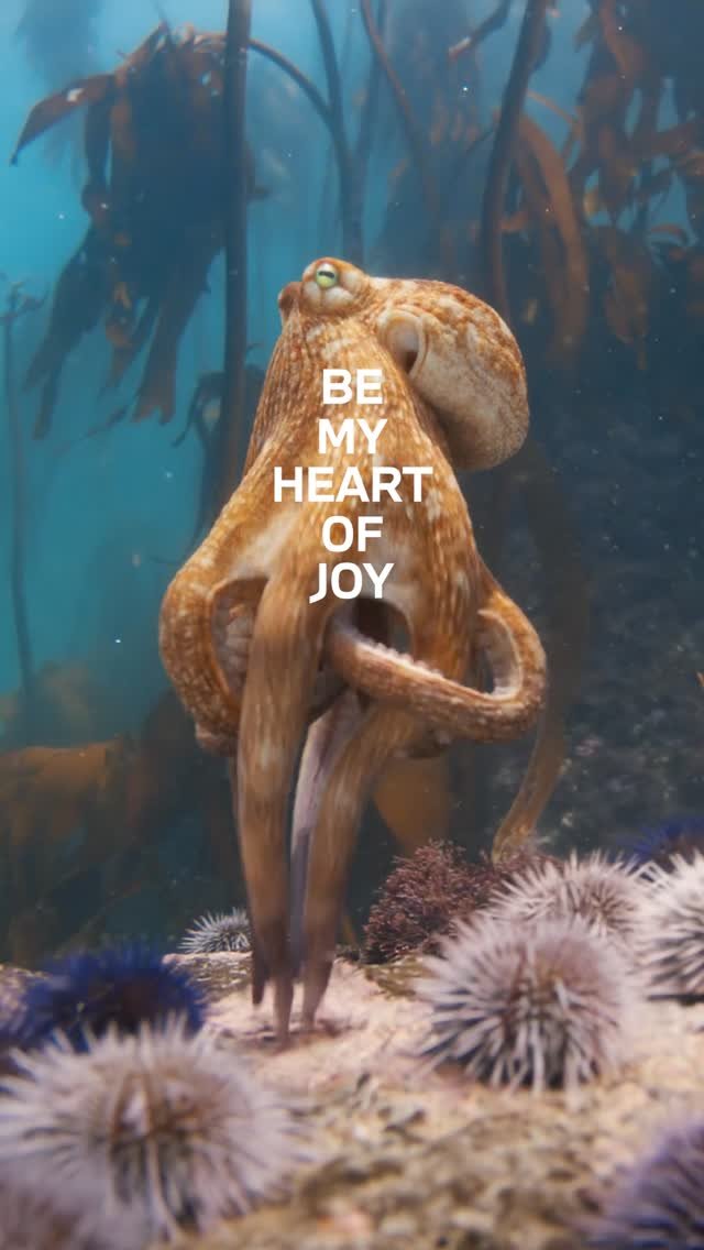 bmw 게시물 이미지: Precision is our love language. Powered by...