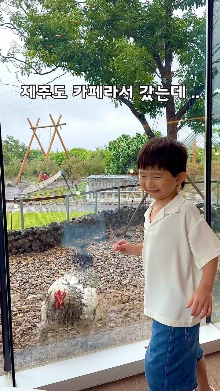 bo.rami_123 게시물 이미지: 지금 수국 대잔치중인 (6-7월) 이 곳은 
17000평 규모의 꽃시장과 카페 족욕...