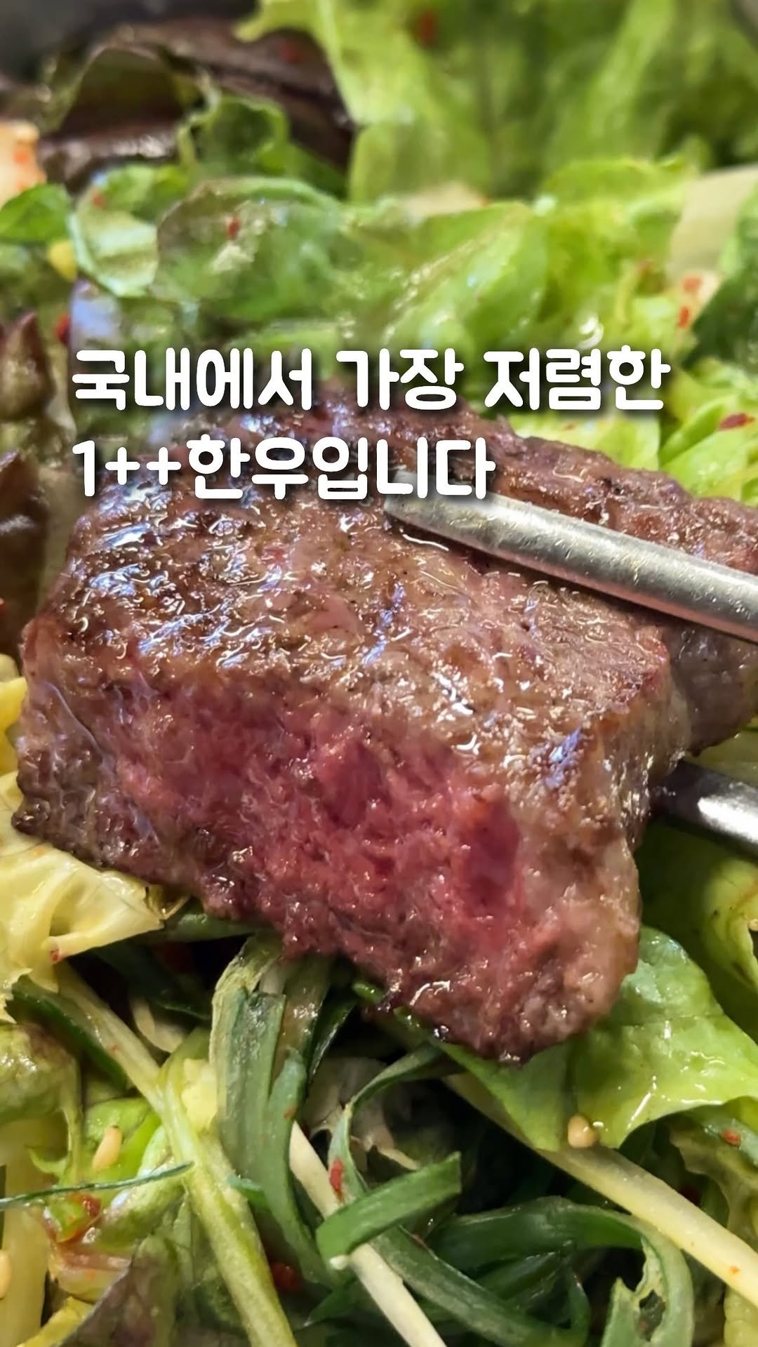 bob_m.z 게시물 이미지: “진짜 말이 안되는 가격의 한우입니다..(대구)”
대구 칠곡 「품격한우」

말...