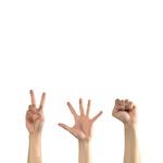 scipaprock 프로필 사진