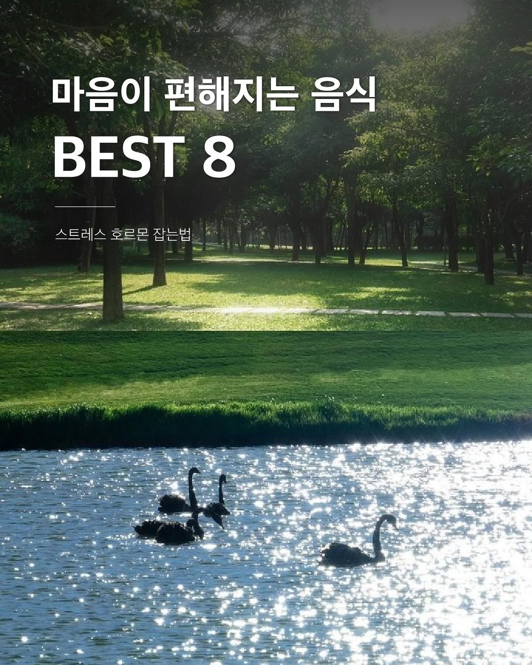 Photo by 밥프로디테  │  다이어트 · 피부관리 on September 01, 2025. May be an image of outdoors and text that says '마음이 편해지는 음식 8 스트레스 호르몬 스트레스호르몬잡는법 잡는법'.