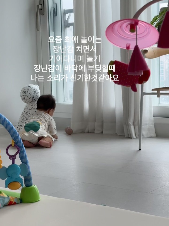bobseol 게시물 이미지: +265 선율
요즘 최애 놀이는 장난감 치면서 기어다니기
무한 서기중인데 아직 혼자...
