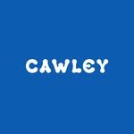 cawleystudio 프로필 사진