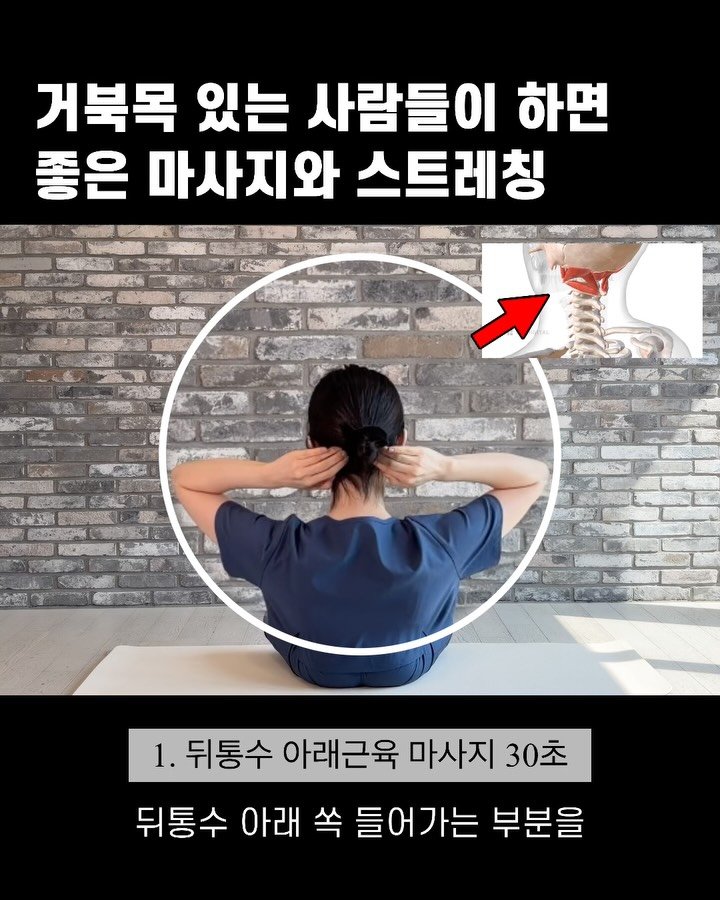 body_heals 게시물 이미지: 거북목이라고
턱만 당기고 있진 않으셨나요? 😢

거북목은 단순히 목만의 문제가...