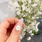 bbalgangsontob_s 프로필 사진