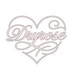 dryrose_official 프로필 사진