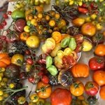 rachid_potagiste 프로필 사진