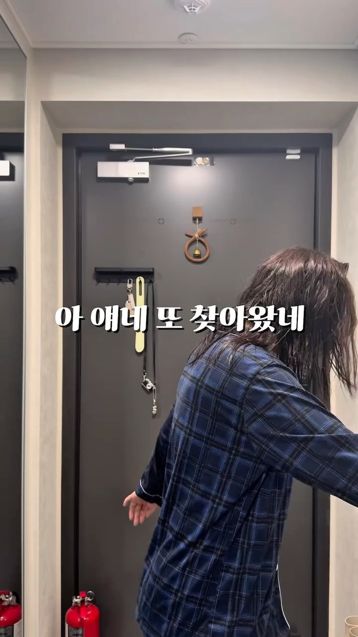 bok_dragon_ 게시물 이미지: 밥태기 치트키 3가지 ✅
💌댓글에 원하는 제품 남겨주시면 오픈시...