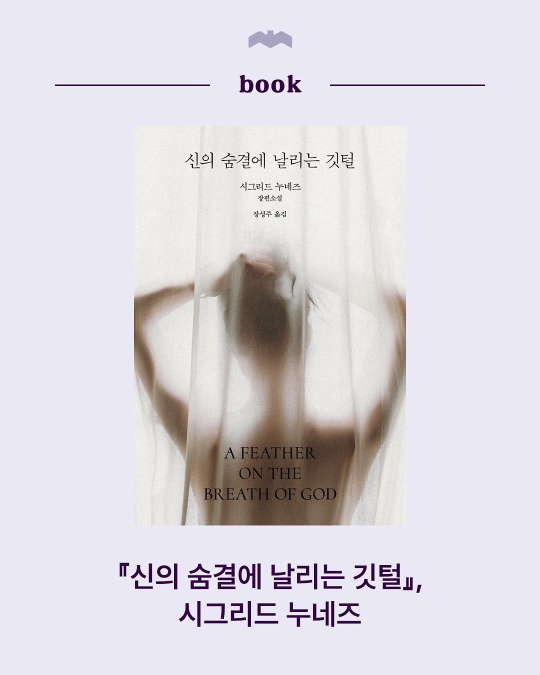 bokbokseoga_publishing 게시물 이미지: 신간 소식📚
🪶시그리드 누네즈의 데뷔 소설 『신의 숨결에 날리는 깃털』...