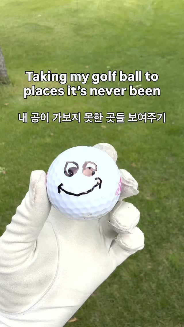 bomiya98 게시물 이미지: 공아 공아…..
제발 페어웨이 길만 걷자…
벙커 해저드 카트길 이런데...